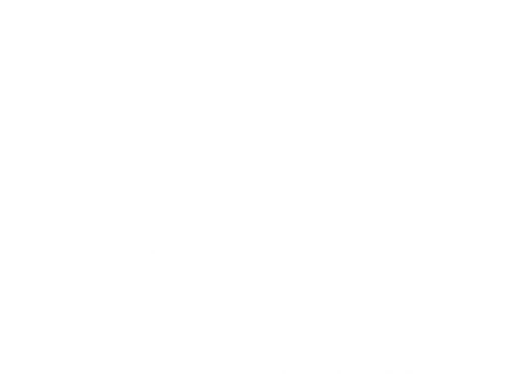conifer tower palms PNG