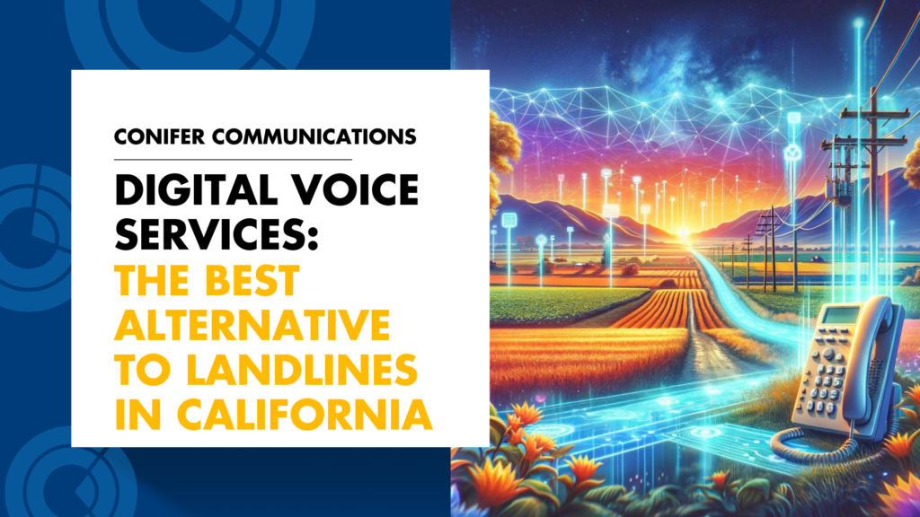 Digital Voice Services